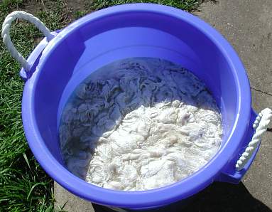 Washing the Wool
